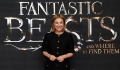 alison-sudol-attends-a-photocall-for-fantastic-beast-and-where-to-picture-id614276326.jpg