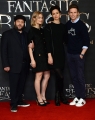 dan-fogler-alison-sudol-katherine-waterston-and-eddie-redmayne-attend-picture-id614276450.jpg