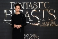 katherine-waterston-attends-a-photocall-for-fantastic-beast-and-where-picture-id614282056.jpg