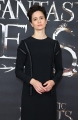 katherine-waterston-attends-a-photocall-for-fantastic-beast-and-where-picture-id614282266.jpg