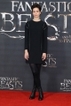 katherine-waterston-attends-a-photocall-for-fantastic-beast-and-where-picture-id614282274.jpg