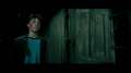 harrypotter-poa-1889.jpg