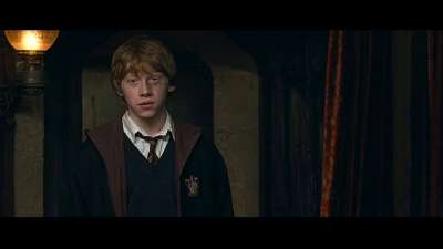 Order of the Phoenix DVD screencaps - SnitchSeeker.com