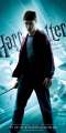 HP6_Banner_Harry_90x180.jpg