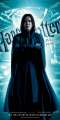 HP6_Banner_Snape_90x180.jpg