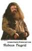 Hagrid~0.jpg