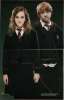 Hermione_and_Ron~0.jpg