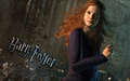 1920x1200_ginny_NDL_ENG.jpg