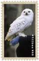 2D9673210-hedwig-forever-singles-bgv2_blocks_desktop_large.jpg