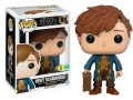 9201_Fantastic_Beasts_Newt_POP_GLAM_HiRes_1_.jpg