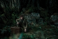 FB-F3-the-secrets-of-dumbledore-newt-crouching-by-case-jungle-web-landscape.jpg