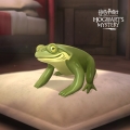 HPHM_Pets_Toad_Green.jpg