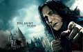 Harry-Potter-and-the-Deathly-Hallows-Part-1-The-Hunt-Begins.jpg