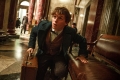 fantastic-beasts-02~0.jpg