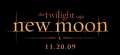 New-Moon-Banner-new-moon-movie-4340397-600-275.jpg