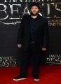 dan-fogler-attends-a-photocall-for-fantastic-beast-and-where-to-find-picture-id614281896.jpg