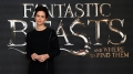 katherine-waterston-attends-a-photocall-for-fantastic-beast-and-where-picture-id614276322.jpg