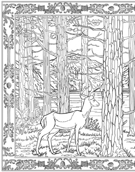 Photos: Harry Potter official coloring book first pages previews from ...
