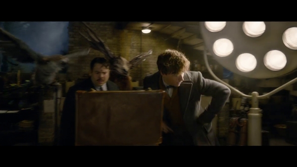 Photos: Fantastic Beasts 2 Trailer Breakdown: Hogwarts, Dumbledore ...